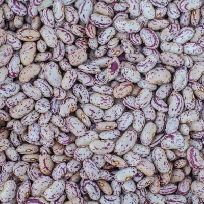 Sugar Beans