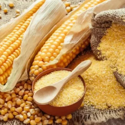 Maize