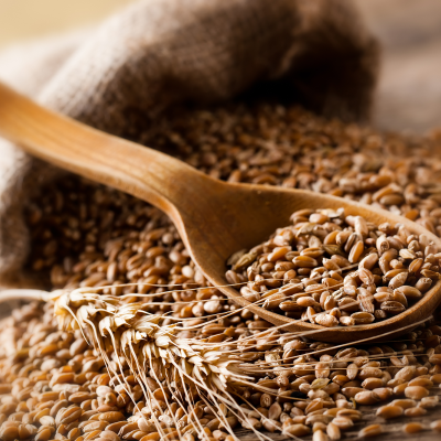 Wheat